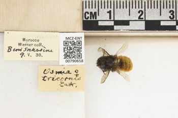 Media type: image;   Entomology 790658 Aspect: Labels